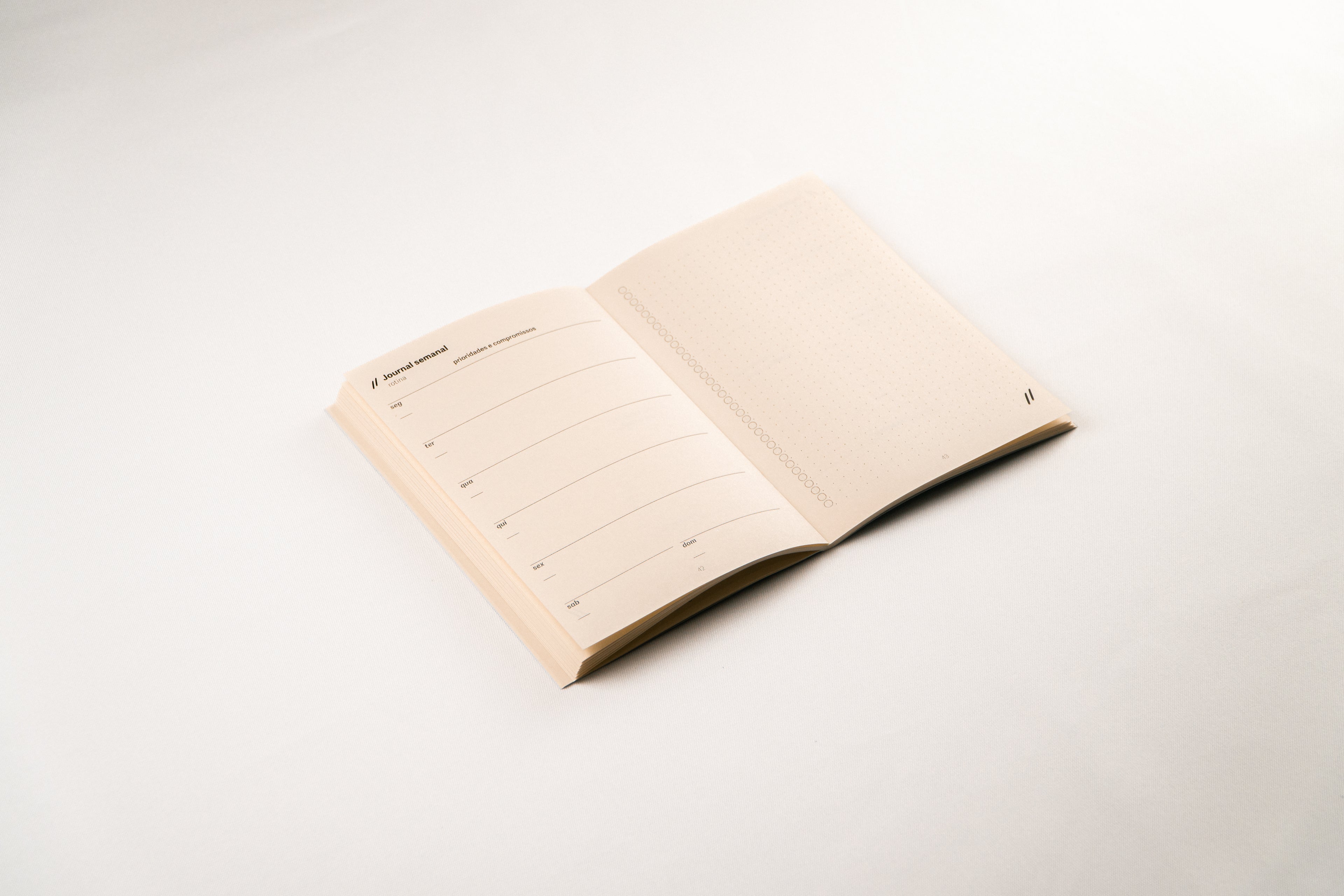 Refil Focus Journal, Medium (A5) - Planner, Kit 4x (12 Meses)